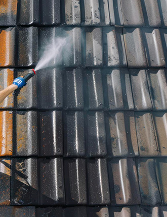 Roof Cleaning Service